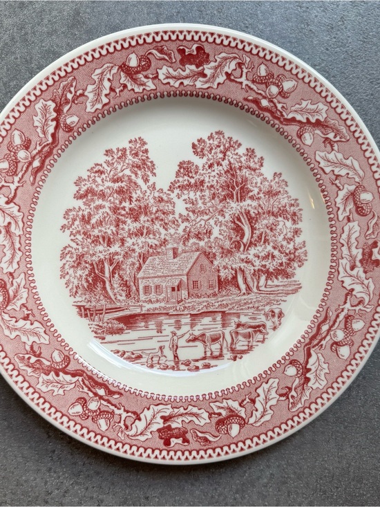 memory lane Other - Vintage 1965 Royal
China "Memory Lane"
Red Transferware Dinner
Plate